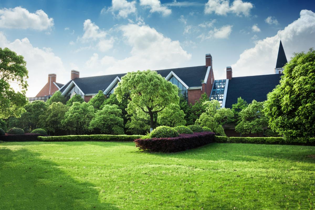 5 Ways to Care for Your Lawn and Landscaping