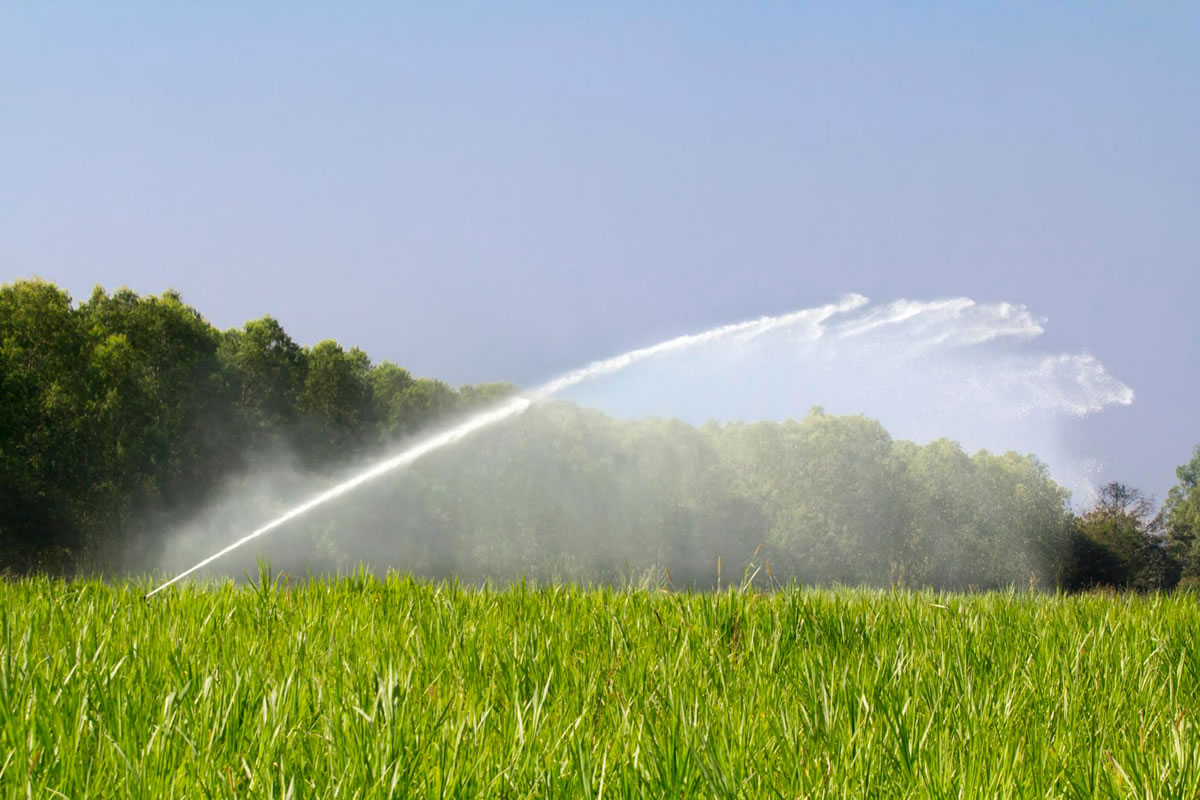 Five Tips for Finding a Sprinkler Repair Expert