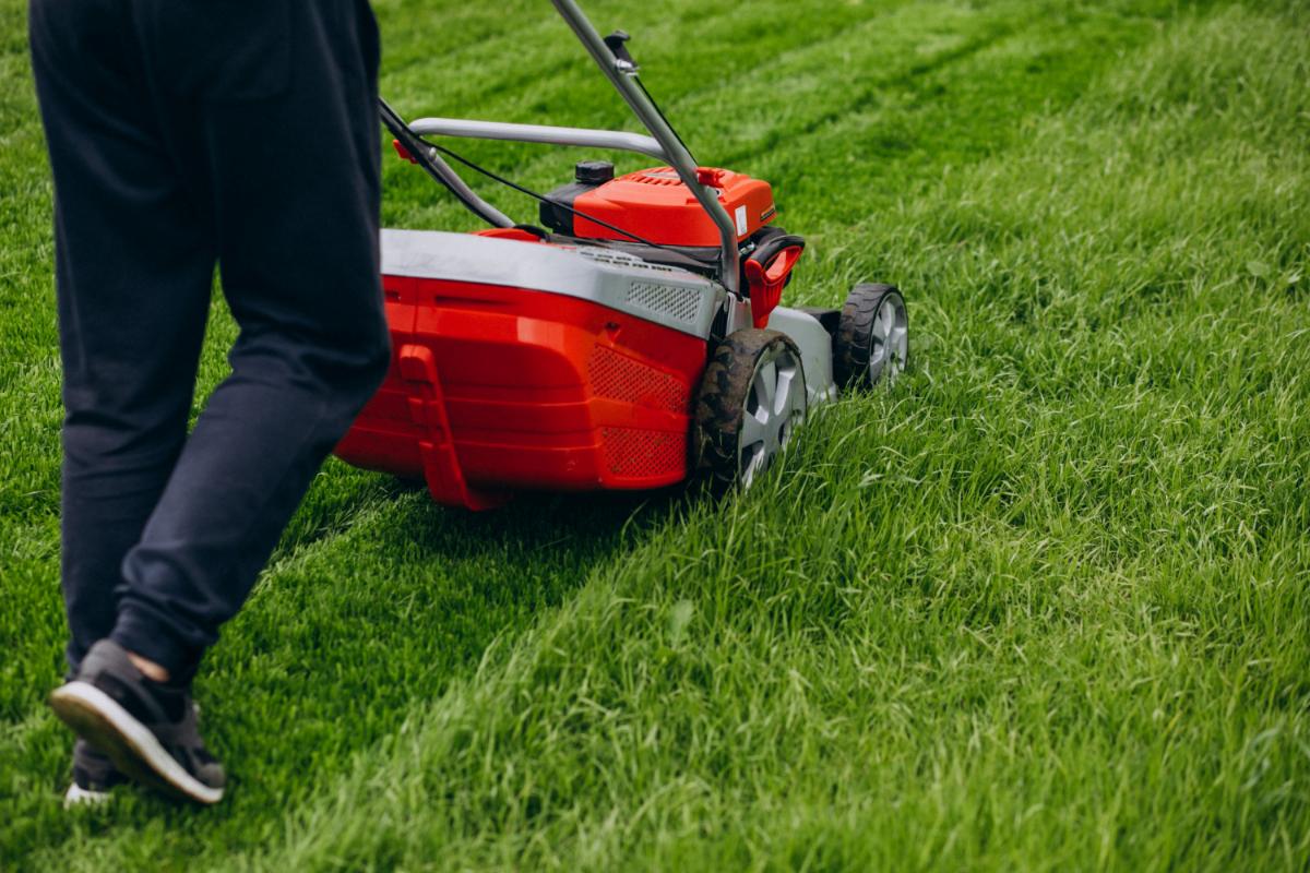 Lawn Preparations to Complete in the Fall