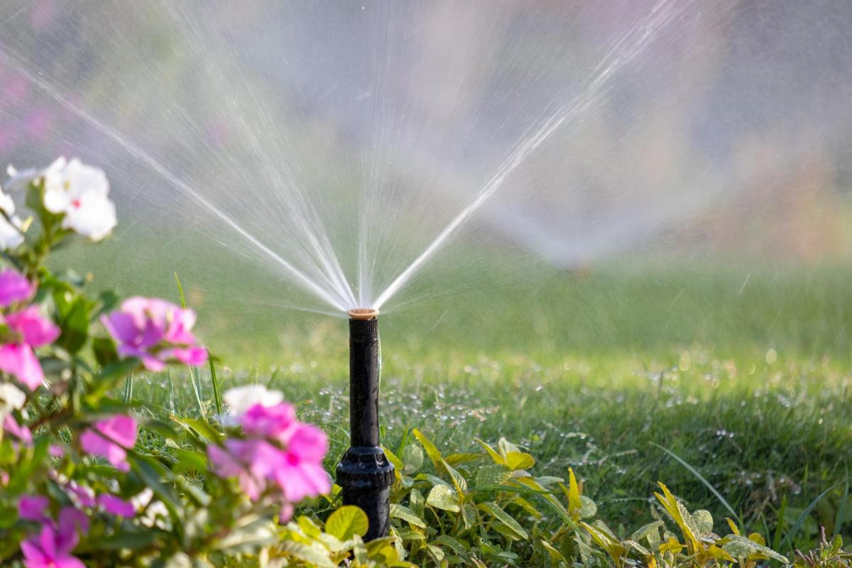 5 Signs Your Sprinkler System Needs Fixed