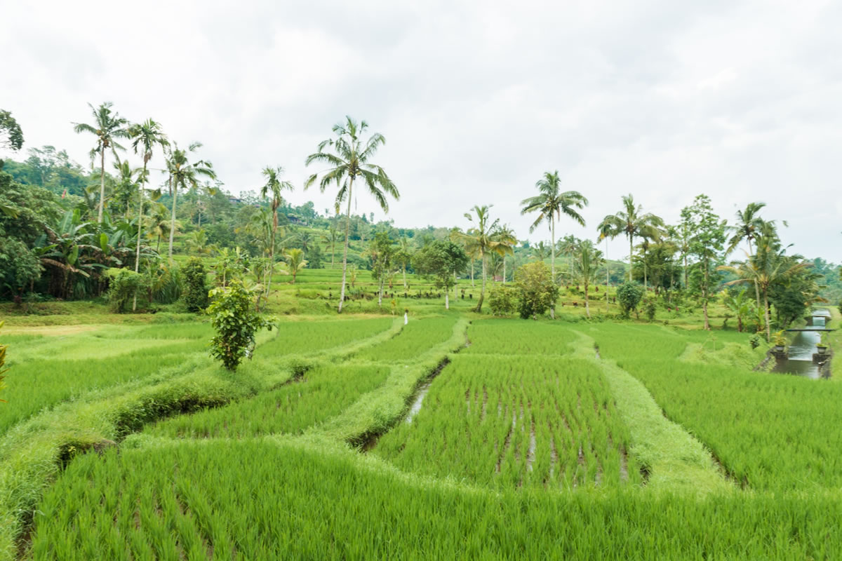 Four Common Reasons for Irrigation Repair