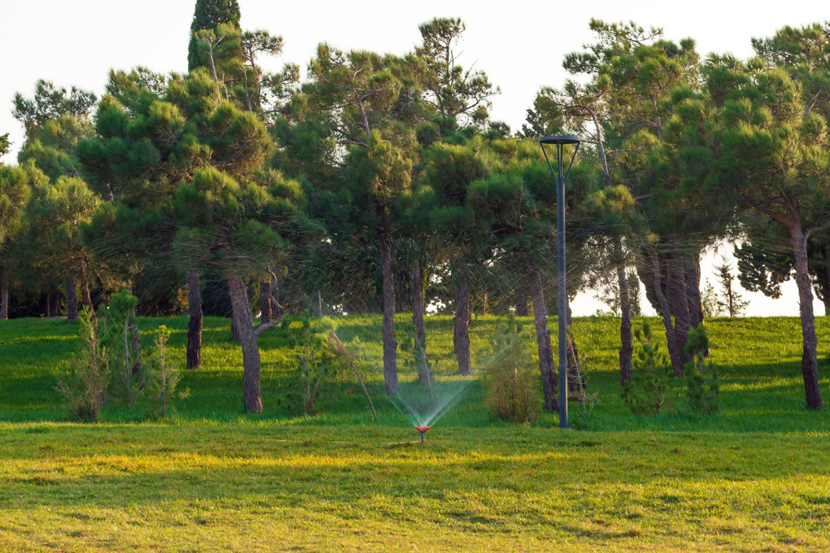 Three Reasons to Fix Your Broken Sprinkler Heads