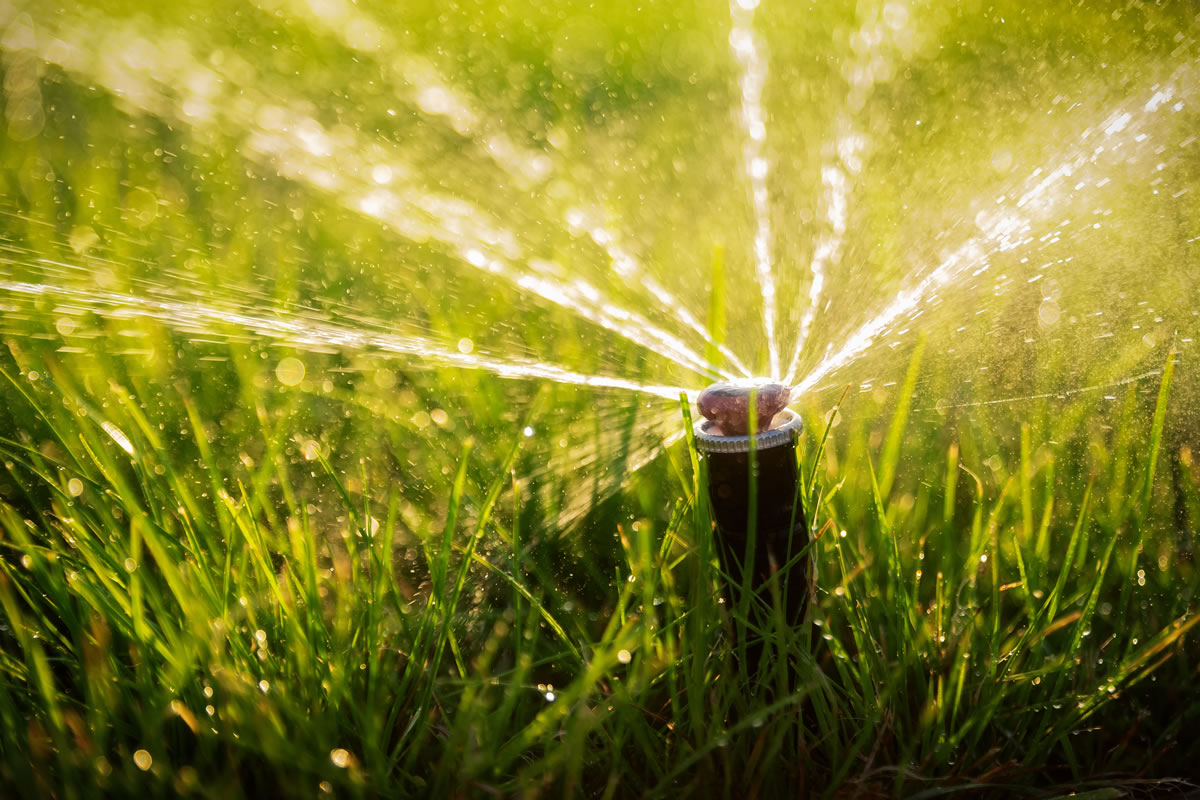 Four Reasons to Get Your Landscaping Irrigation Evaluated