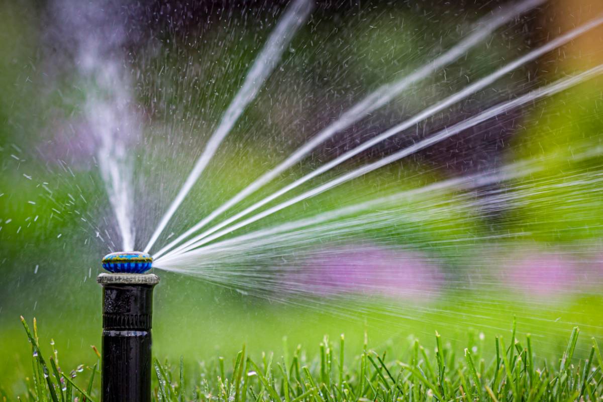 5 Signs You Need to Repair Your Sprinkler System