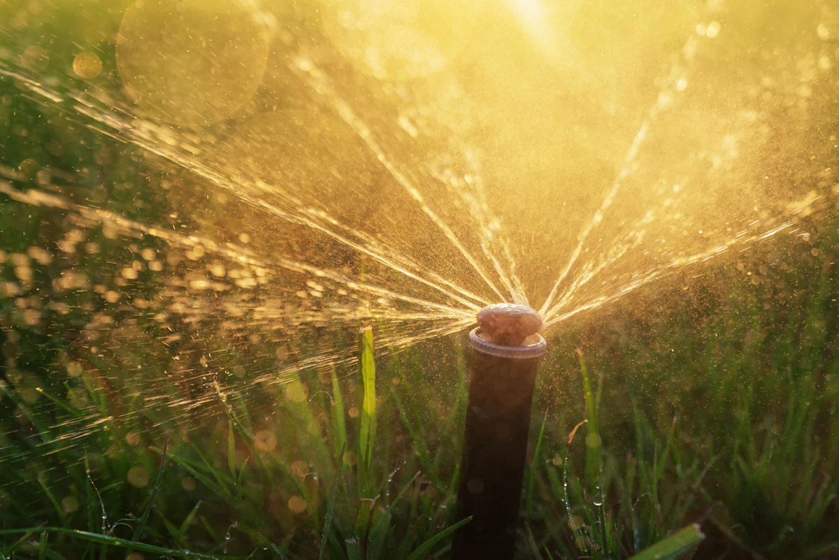 Common Sprinkler Head Problems and How to Fix Them