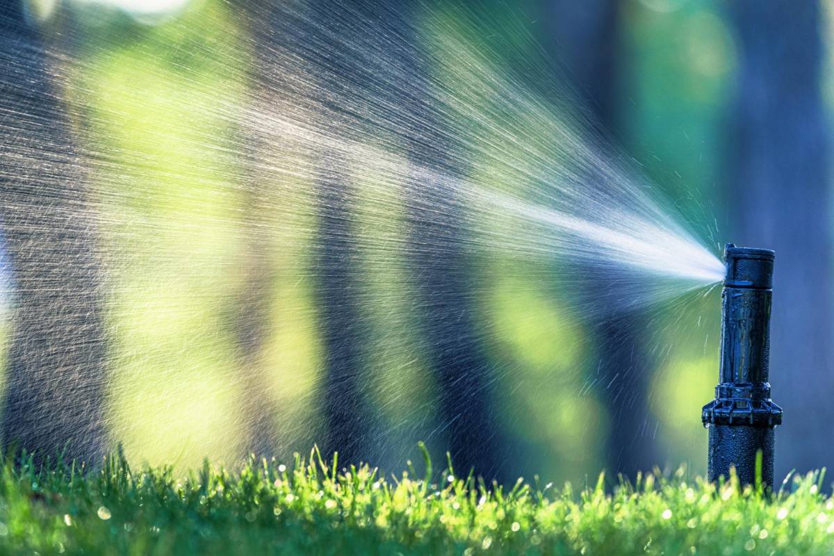 4 Perks of Getting a Sprinkler System for Your Yard