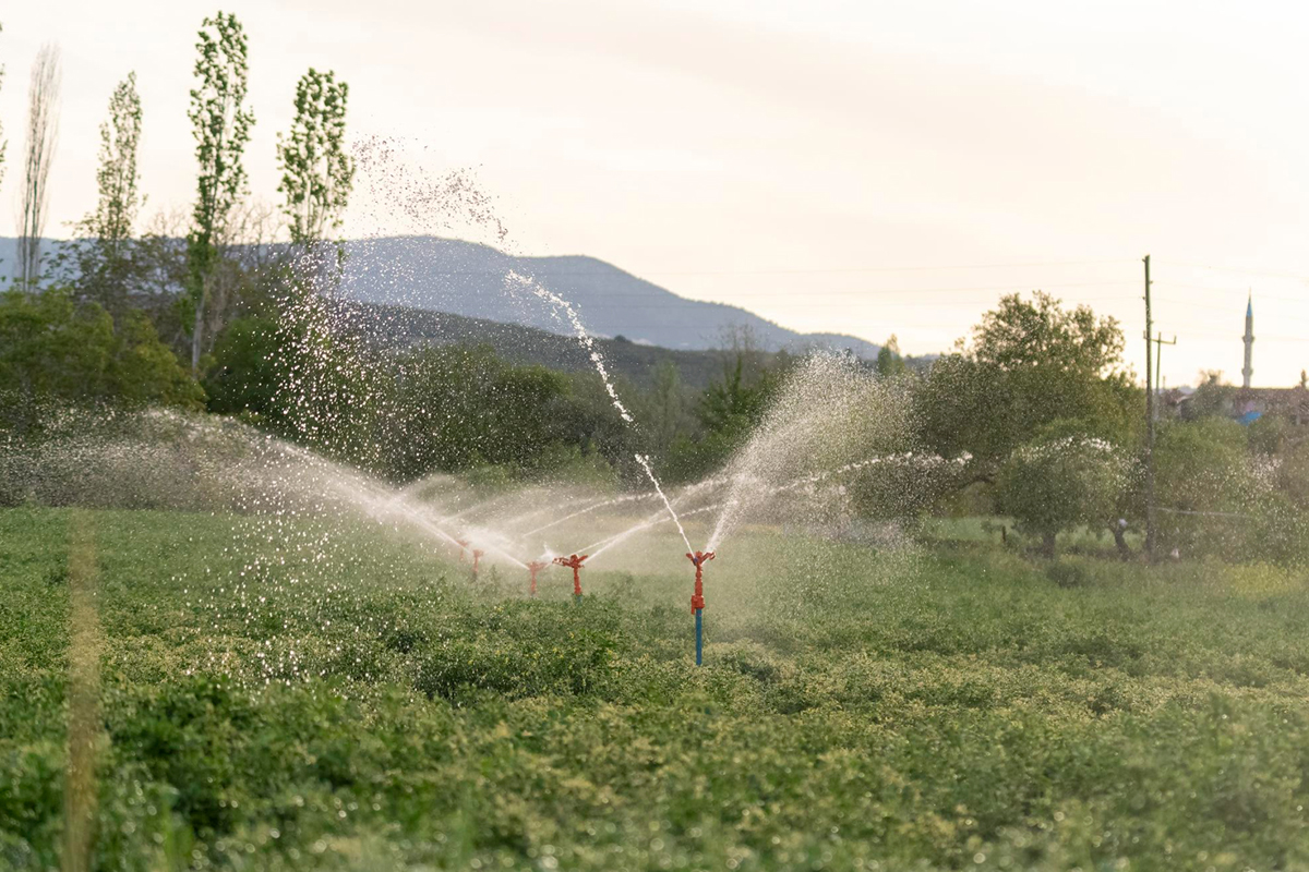 Tips for Maintaining Your Automatic Sprinkler System