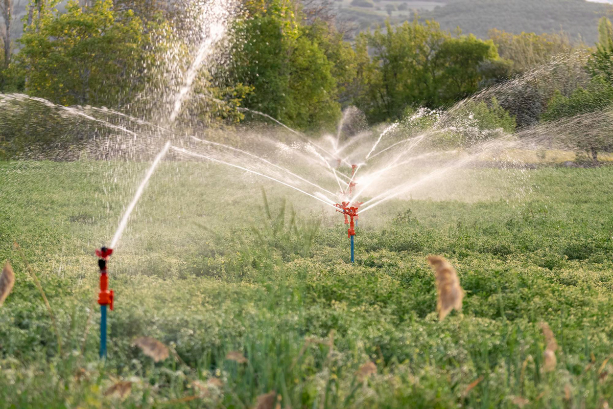 Anatomy of an Automatic Sprinkler System