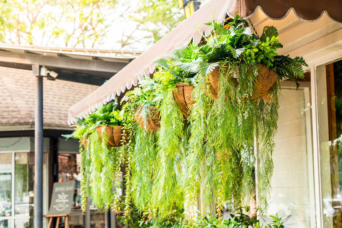 Put Your Hanging Porch Plants on Autopilot with Automatic Drip Irrigation