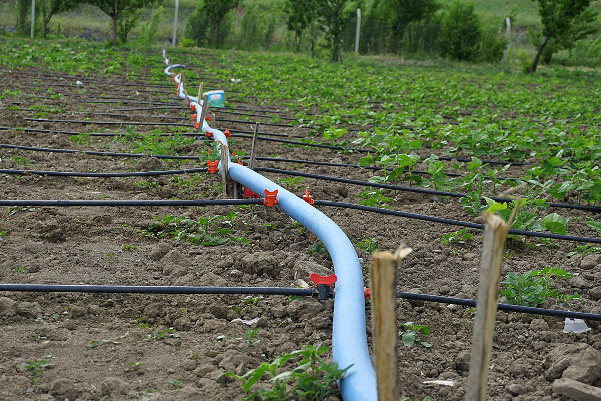 Troubleshooting Common Problems of Drip Irrigation Systems
