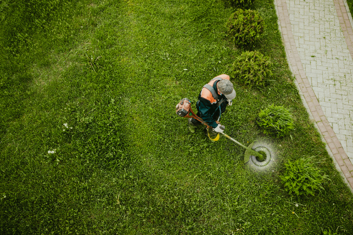 Tips for Effective Landscaping and Lawn Care