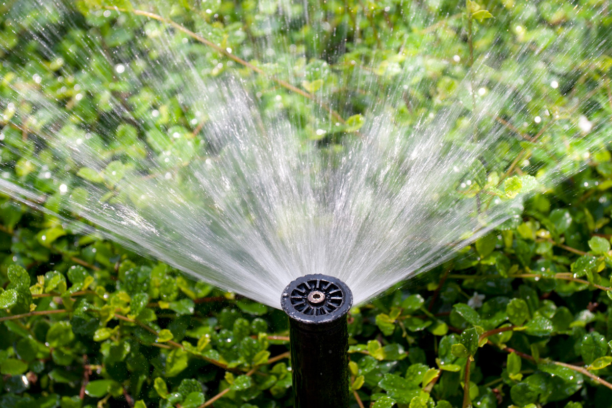 The Dos And Don’ts Of Sprinkler Repair And Maintenance