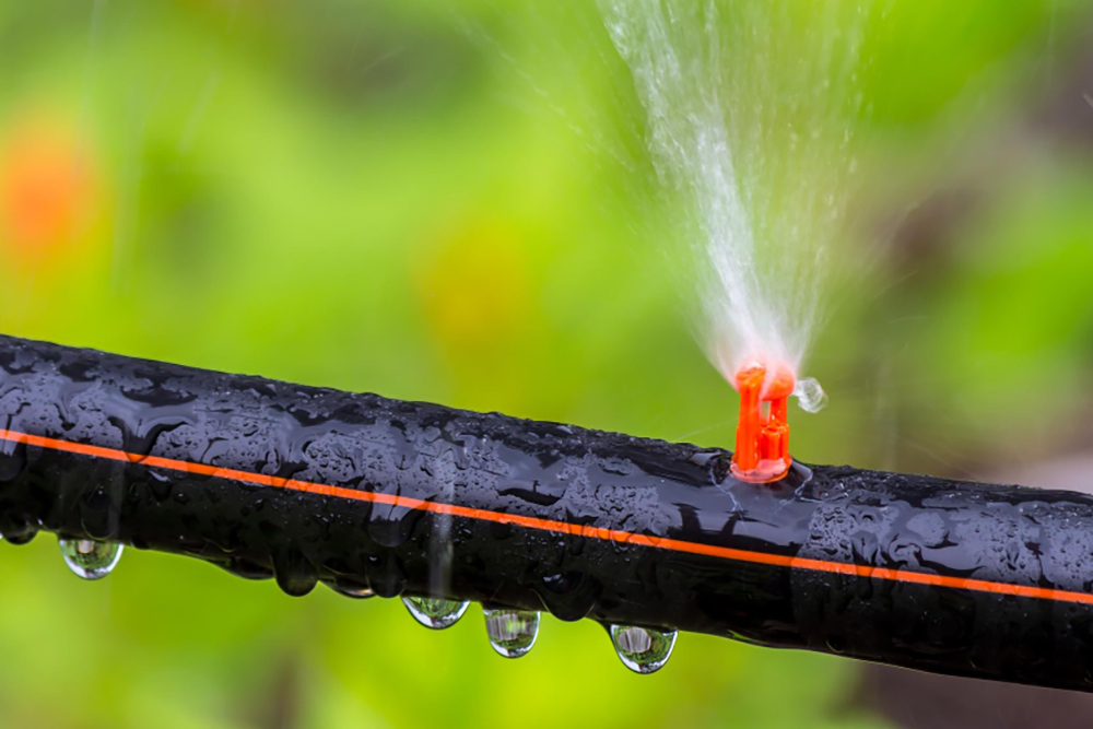 The Ultimate Drip Irrigation Guide for Garden Enthusiasts