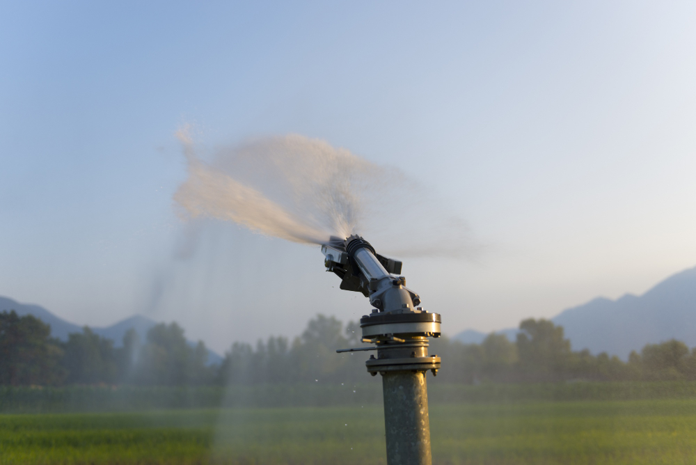 Ways to Enjoy Hands-Free Watering to Your Garden