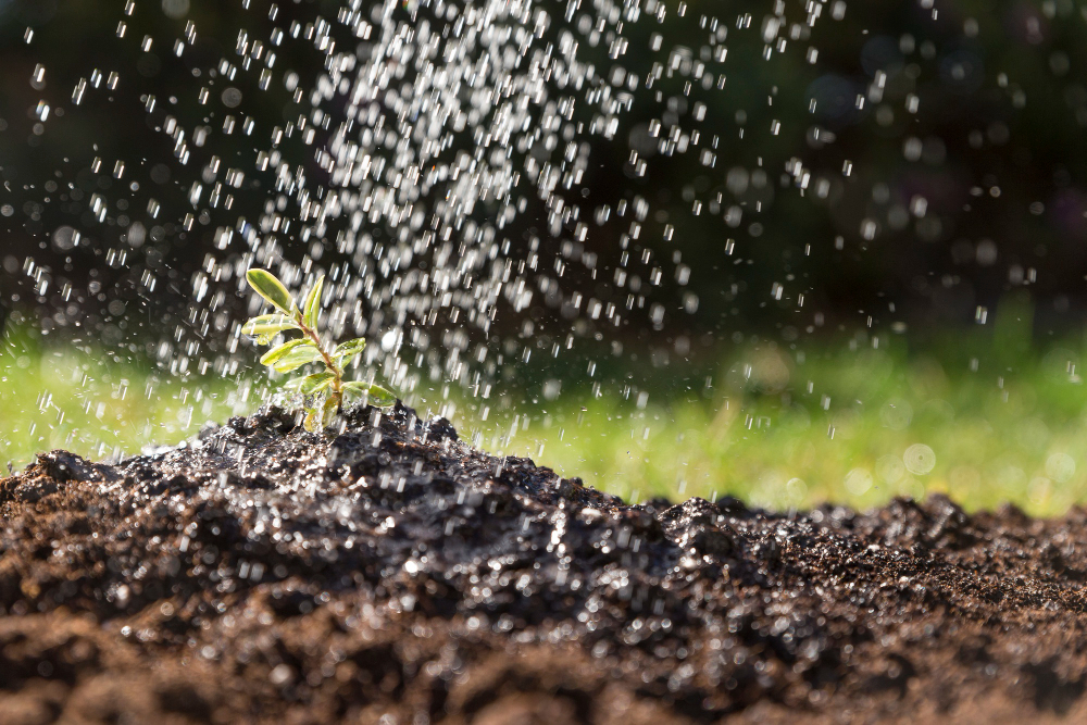 Water Conservation Tips for Homeowners in Orlando, FL