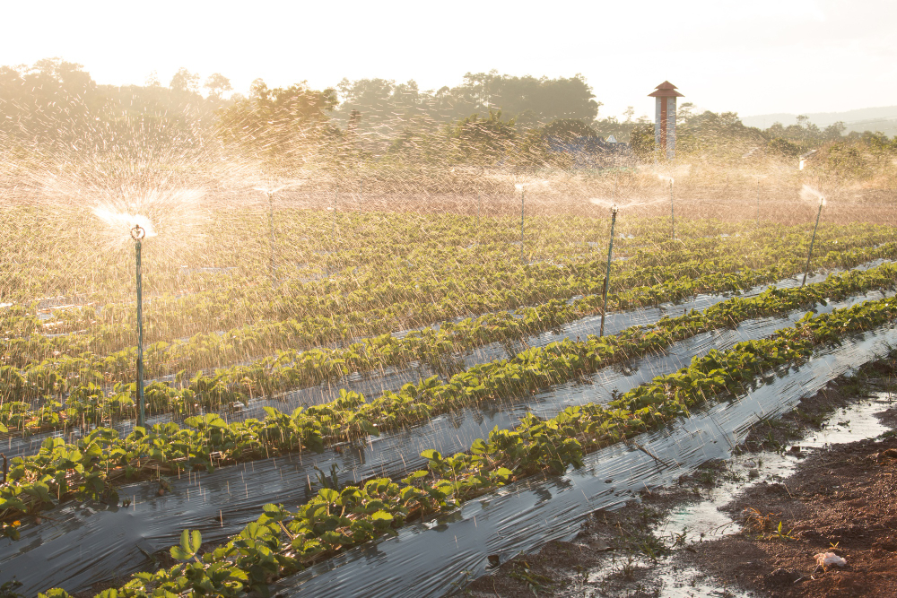 Unveiling the Benefits of Automatic Irrigation Systems