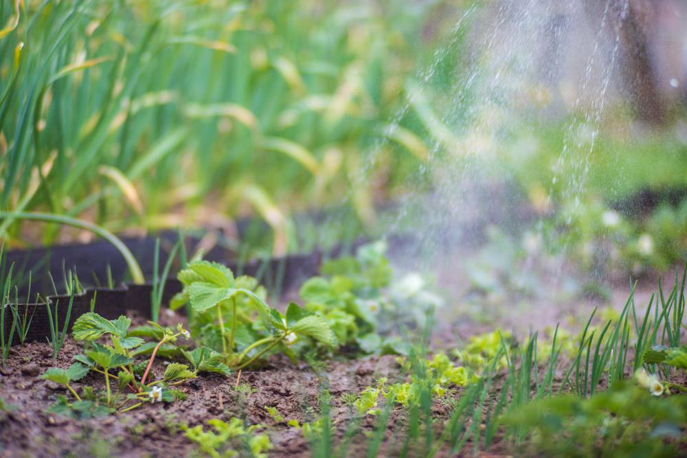 Preparing Your Summer Garden: The Ultimate Guide to Irrigation Installation