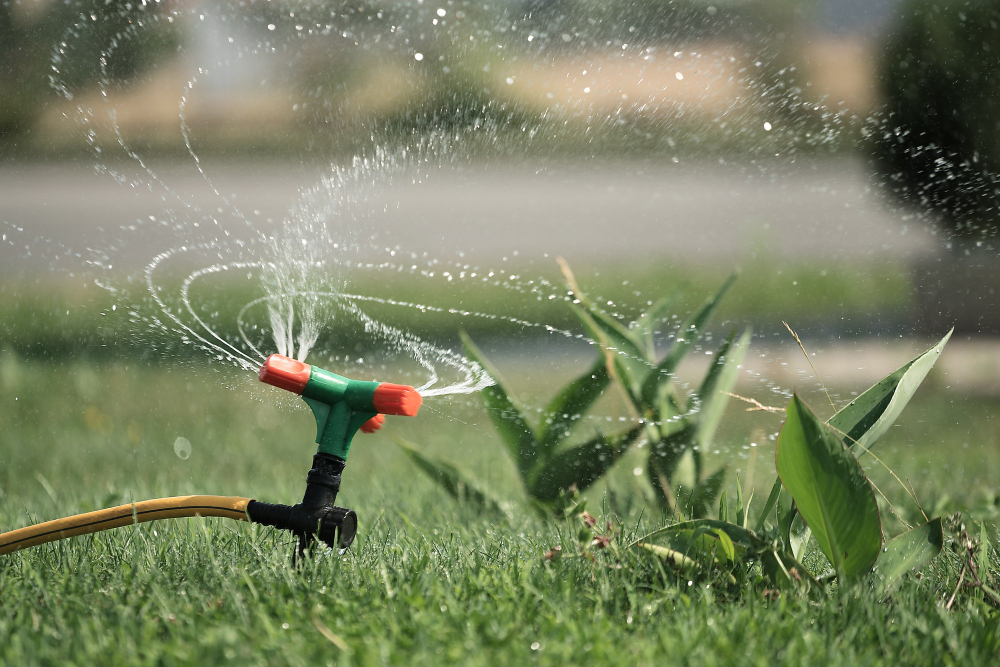 Understanding Your Custom Rain Bird Sprinkler Design