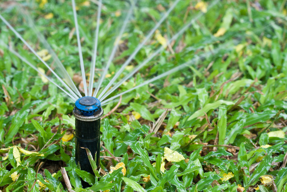 The Ultimate Guide to Installing an Automatic Sprinkler System
