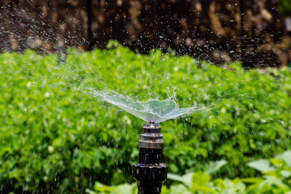 Tips for Maintaining Your Sprinkler System