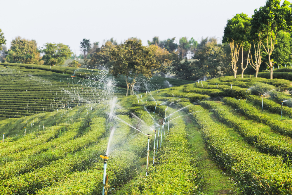 Why You Should Maintain Your Irrigation System