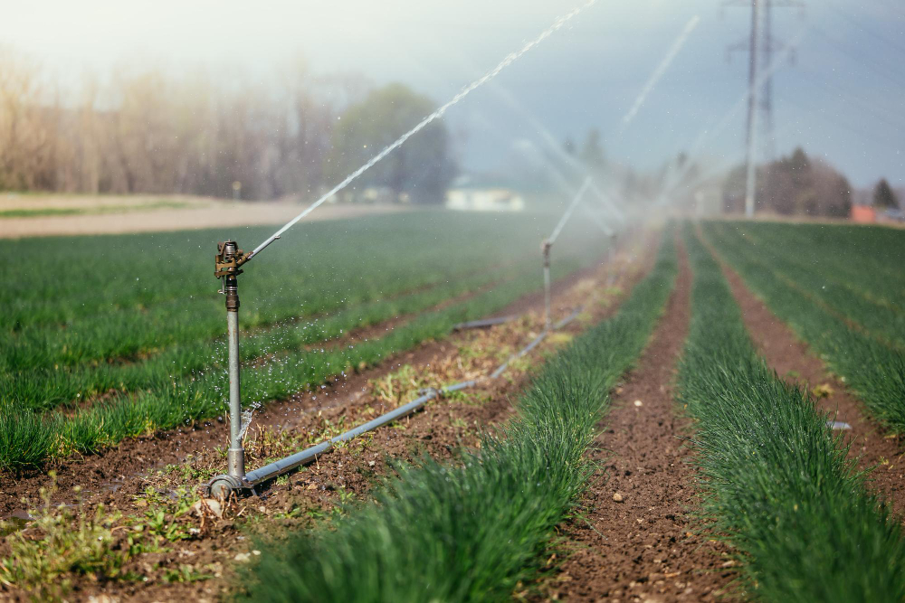 How J.L.C. Outdoors Installs Irrigation Systems in Orlando