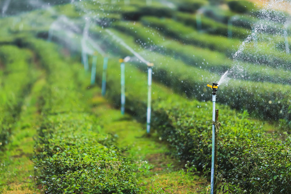 Does My Irrigation System Need to Be Repaired or Replaced?