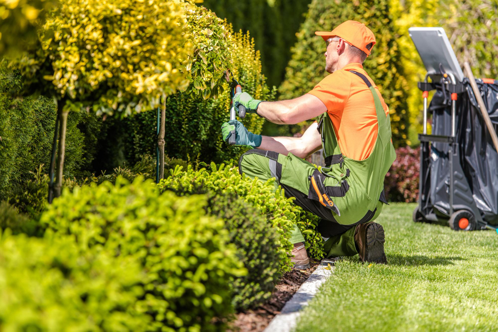 Highest Paying Jobs in Landscaping: Is a Career in Green Worth the Green?