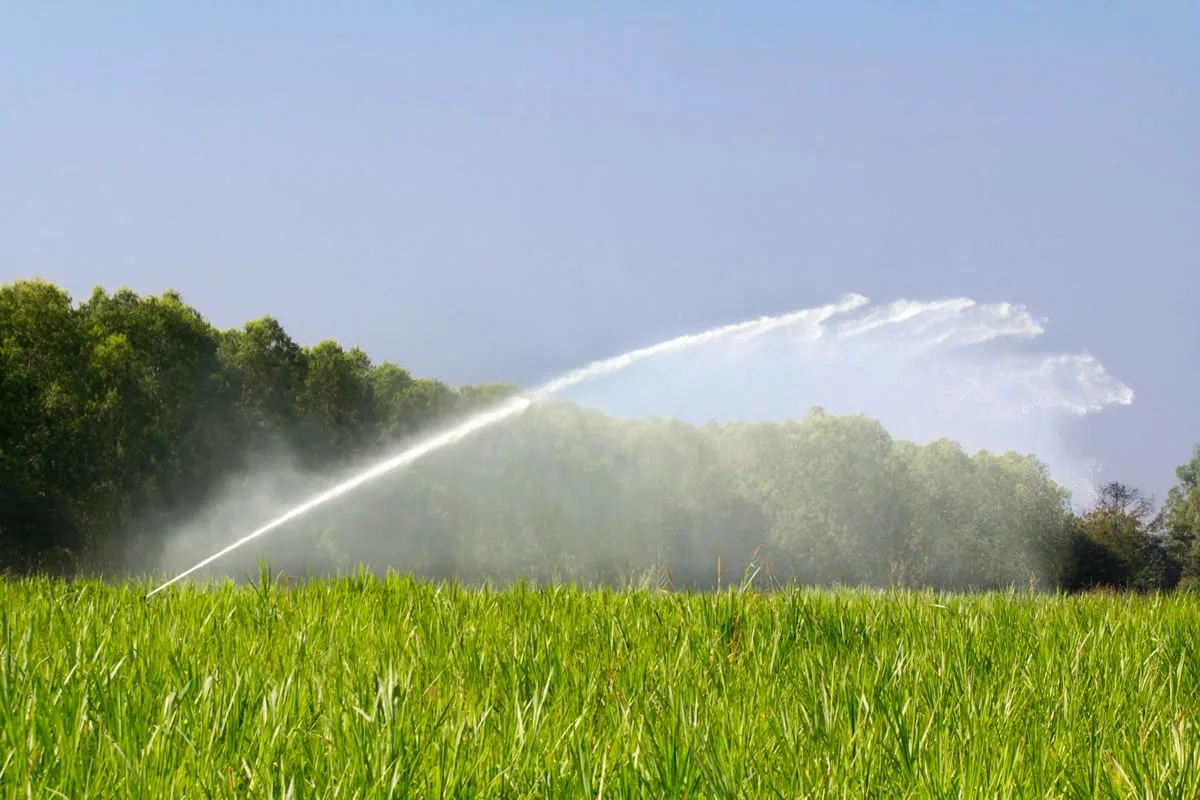 Five Tips for Finding a Sprinkler Repair Expert