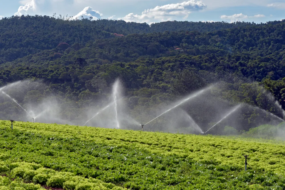 The Benefits of Irrigation Systems for Your Orlando Property