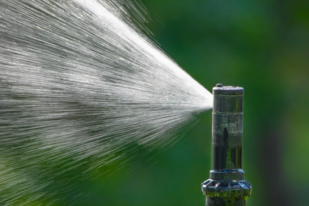 Do You Need a Sprinkler Head Replacement? Here's How to Know