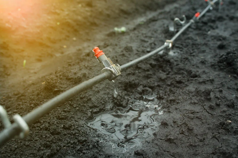 Signs Your Orlando Sprinkler Heads Need Immediate Repair