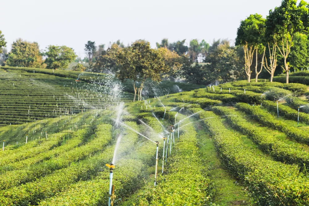 Why You Should Maintain Your Irrigation System