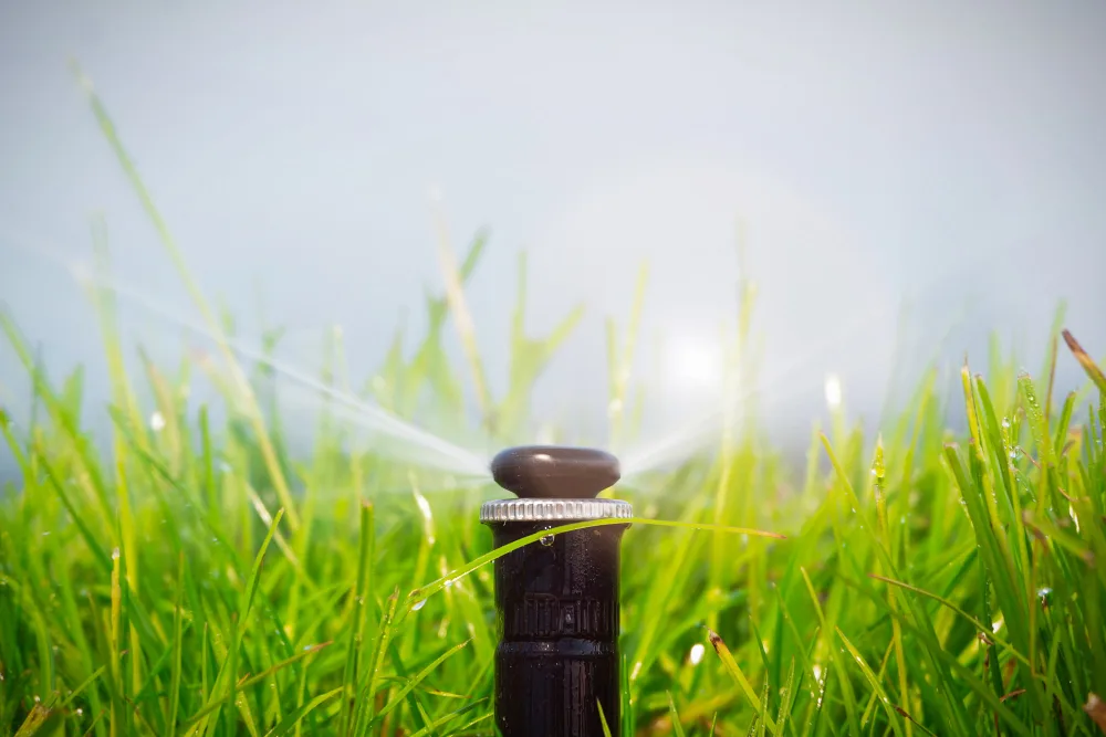 Helpful Tips for Watering Your Lawn