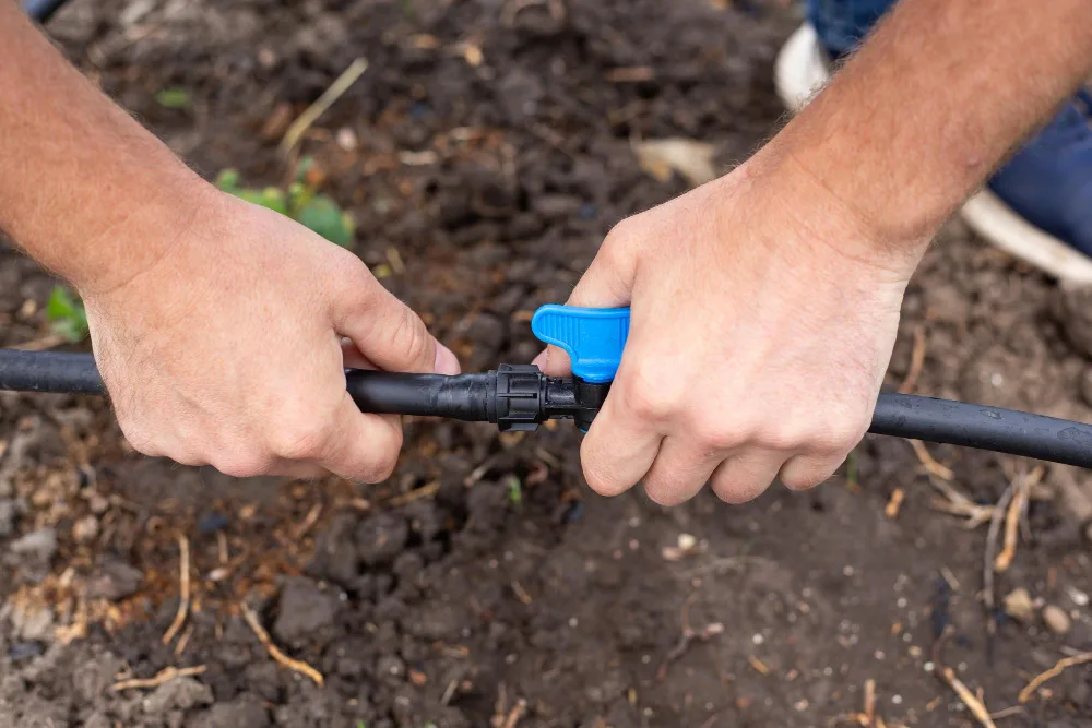 Broken Sprinklers? 5 Signs You Need Irrigation Repair in Orlando