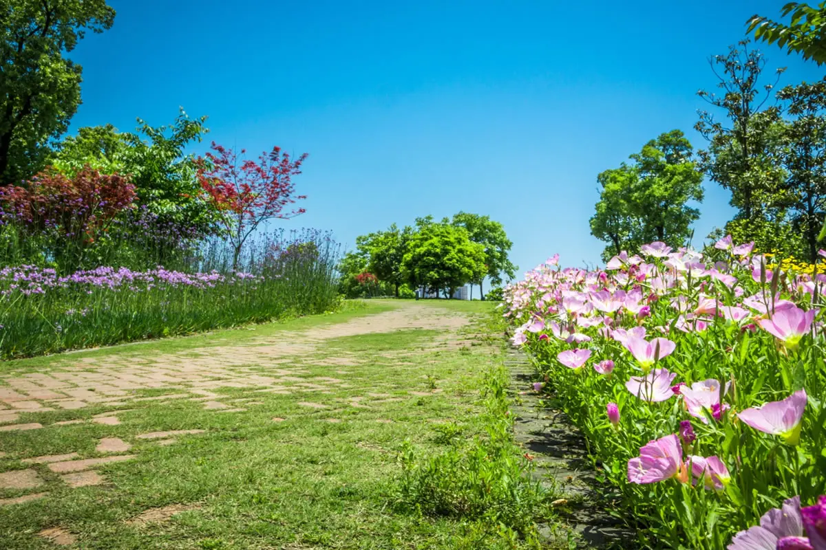 Its Time To Change The Annuals