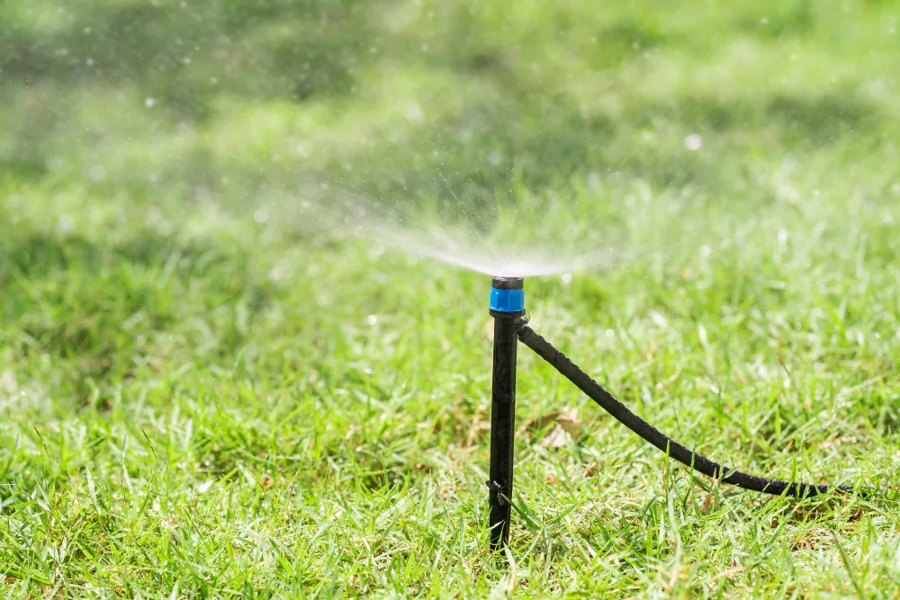 Your Guide to Common Sprinkler Head Repair