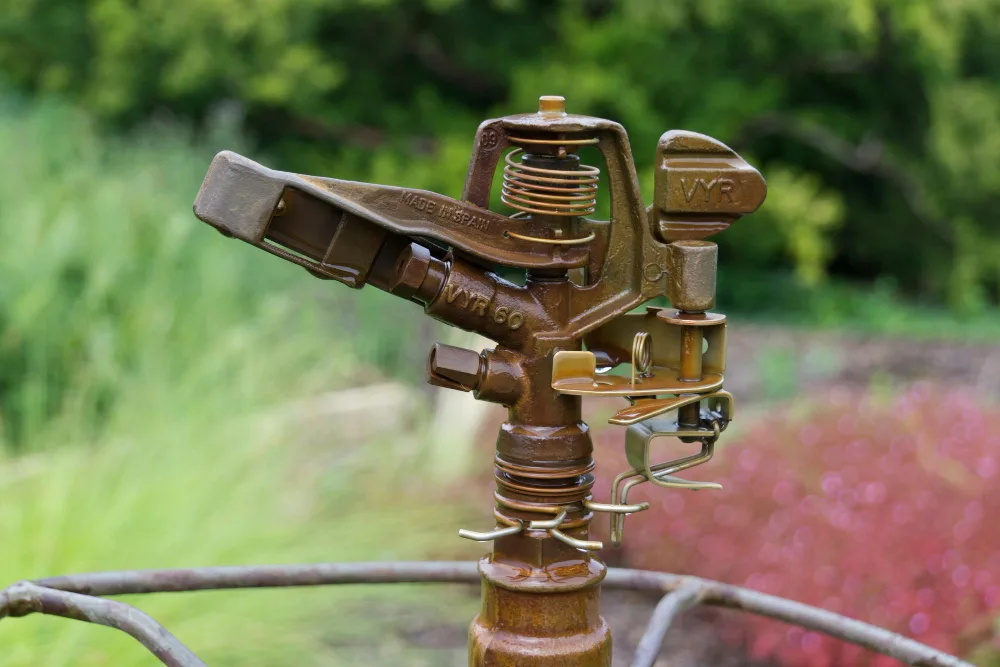 Florida Landscaping 101: A Homeowner’s Guide for Orlando