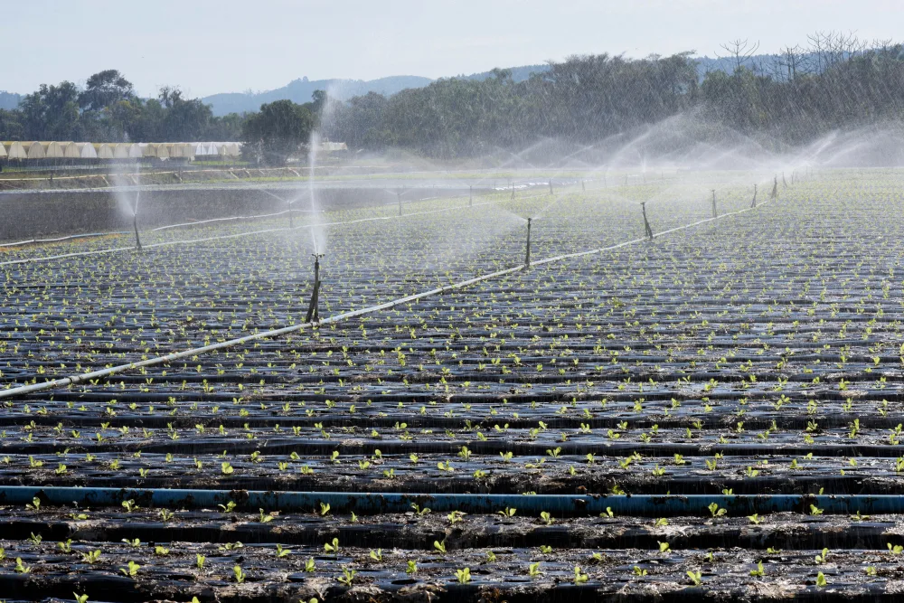 5 Smart Ways to Upgrade Your Irrigation System