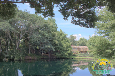 Lawn & Landscape Services