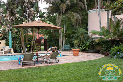Pool area landscape services