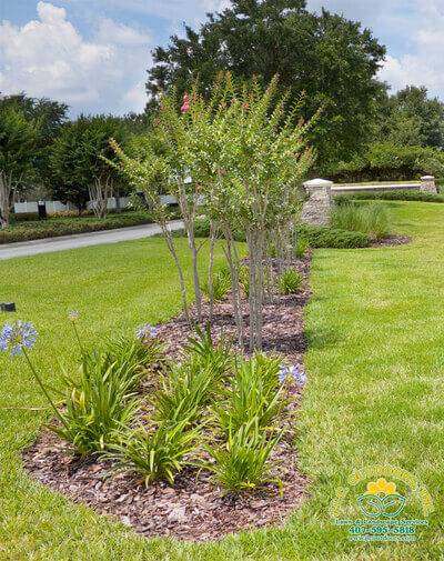Lawn & Landscape Services