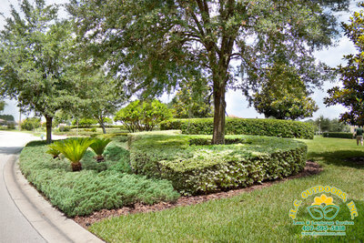 Lawn & Landscape Services