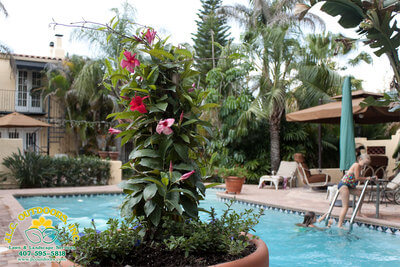 Pool area landscape services